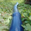 สายส่งน้ำ ผ้าท่อส่งน้ำ ขนาด 12 นิ้ว ยาว 100 เมตร